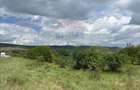 Teren de vanzare 13783mp, front la DN, parcela unica zona de vest - 8
