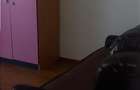 Apartament 2 camera CUG - 350 EURO - 8
