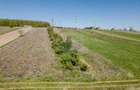Teren 1,800mp Suceava / Strada Grigore Andrei - 11