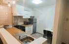 Apartament 2 camere, mobilat, utilat, zona Platinia Shopping Center - 4
