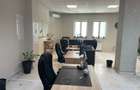 Ultracentral - Ferdinand, spatiu comercial 167 mp. - 5