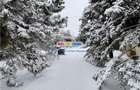 Otopeni Ana Aslan Str Valea Pasarii P+1 SU 340 mp teren 1500 mp - 5