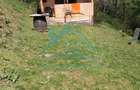 Cabana cocheta de vanzare cu teren generos 3000 mp, Baisoara! - 7
