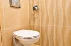 Stylish Apartment in the Heart of Cluj – Matei Corvin street - 11