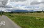 TEREN Intravilan - Tohanul Nou 10.000 mp - ZARNESTI - 5