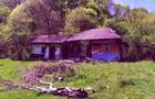 Teren de vis la munte – 7.795 mp – construibil – pârâu, pădure, fără vecini - 3