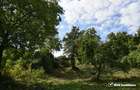 Casa demolabila in sat Gheorghieni (com Feleacu) teren 1547mp intravilan