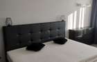 De vanzare ap 2 camere mobilat Baba Novac Belvedere - 8
