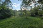 Teren intravilan 1201 mp – Curtea de Arges, Strada Haiducesti - 4