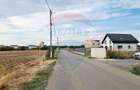 Vanzare Teren Balotesti / Strada Lacul Vlasia - 3
