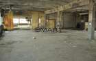 Hala industriala 1600mp zona Lazaret str. Dorobantilor - 3