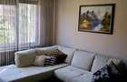 Apartament de inchiriat 2 camere Bulevardul Victoriei - Centrul Nou - 4