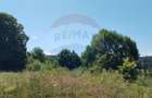 Teren 3,871mp Varmaga / None - 3