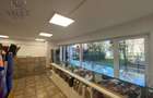SPATIU STRADAL 567 MP - VAD COMERCIAL - PACHE PROTOPOPESCU - 5