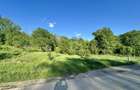 Teren 1000-2000mp intravilan in Gradina Botanica Iasi, 200€/mp, utilitati - 3