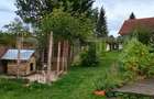 Casa deosebita, 3000 mp teren, 6 camere zona linistita - Barcani - 5