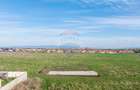 Teren Sanpetru, str Armoniei, 539mp, cu proiect casa si avize in lucru - 5