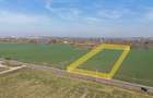 Teren pentru proiect de case in Buftea, cu deschidere la lacul Buciumeni - 2