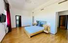 Aleea Privighetorilor- Penthouse 833 mp utili mobilat complet 3600 Euro + TVA - 16
