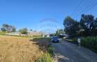 Teren intravilan, 7500 mp in Moara Carp / Strada Eternitatii-Suceava - 4