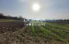 Vânzare teren intravilan - 2518 mp - strada Amurgului - Ursați - 4