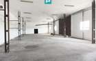 Spațiu industrial de 725 mp în Vladimirescu - 5