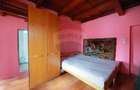 De vânzare casă cu 3 camere și teren 3205 mp în Sânnicolau Român - 10