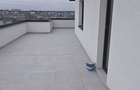Penthouse 3 camere Craiovei - 10