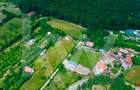 Teren intravilan 2000 mp - Tocile, vedere panoramică spre munte și pădure - 8