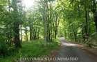 ZONA SUPERBA - TERENURI DE VANZARE - 30