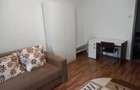 Apartament cu 2 camere, DECOMANDAT, PET FRIENDLY talie mica, zona Tatarasi - 3