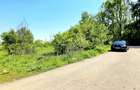 Teren intravilan, 2 fronturi, Drumul Padurea Pustnicu 65 - Greenfield - 5