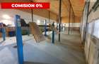 Comision 0% Afacere la cheie: service auto de inchiriat 246 mp utili, Sag - 3