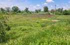 Teren 2500 mp la intrare in Eforie Nord - 4