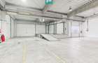 Hală industrială de 4.155 mp Calea Borșului - 12