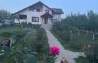 Ready to move in, 4 băi din care una pentru intrare de afară de la grătar,terasă - 1