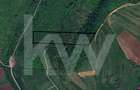 Teren Extravilan de vânzare, Hamba (Sibiu), 38.400 mp (3,84 ha), Pret competitiv - 2