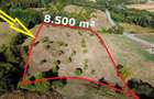 VIDEO | Super view | Teren 8.500 m² in Maramures | Viitorul tau colt de liniste