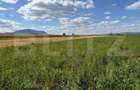 Teren intravilan, Puz aprobat parcele intre 500 - 700 mp