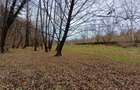 Resita, Teren Drept Intravilan, Langa Prau si Drum, Parcelabil, 4500 Mp., 15 Eur - 11