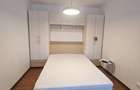 Apartament cochet zona Take Ionescu-cu centrala gaz - 13