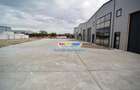 Hale Industriale Centura Rudeni Chitila Centura 415 mp 978 mp - 10