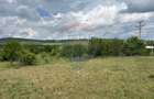 Teren de vanzare 13783mp, front la DN, parcela unica zona de vest - 6