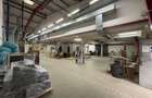 Hala, showroom birouri Pacurari rond Mall Moldova de la 40mp la 1000mp - 12