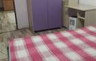 Apartament 2 camere Podu Ros - Socola - 7