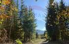 Vânzare teren extravilan, 4 ha pădure, zona turistică Liban, Harghita - 1