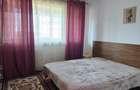 Apartament 2 camere, mobilat, utilat, Campia Libertatii, pet friendly - 2