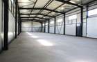 Hala noua, prima inchiriere! De inchiriat HALA in Targoviste - zona Altex Aleea - 5