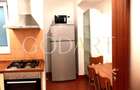 Apartament doua camere | Parcare subterana | Herastrau - 5