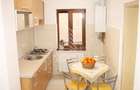 Apartament cu o camera de inchiriat, loc de parcare, Sagului Timisoara - 3